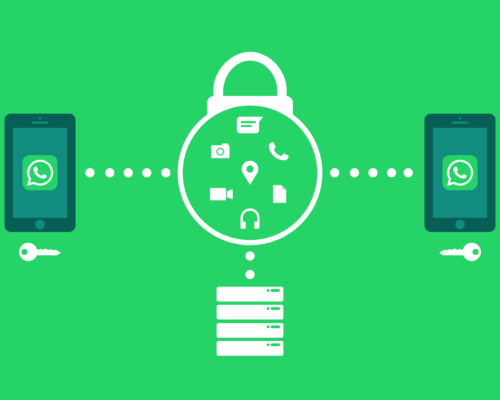 Todo sobre Whatsapp Business